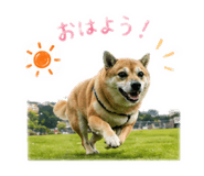 839240371