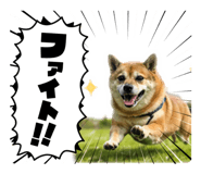 839240377