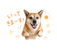 839240381