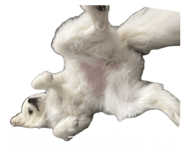 839240474