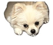 839240475