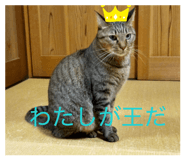 839240974