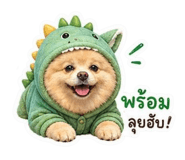839243950