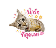 839244095
