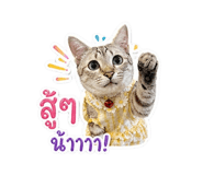 839244100