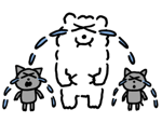 839244703