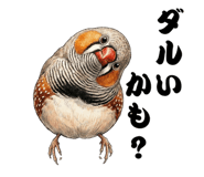 839245284
