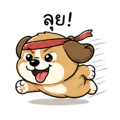 839247427