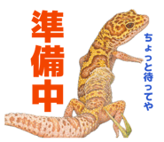839247563