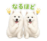 839247670