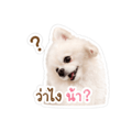 839247719