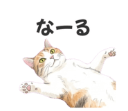 839249014