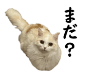 839249410