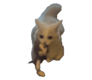 839249414