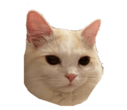 839249416