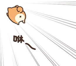 839250339