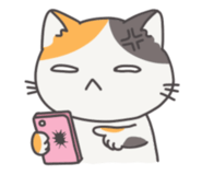 839250589
