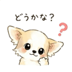 839250999