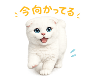 839251718