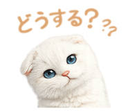 839251721