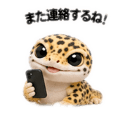 839252207