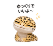 839252208