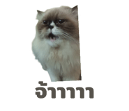 839252725