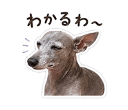 839253046