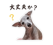 839253053