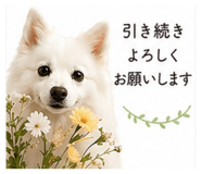 839253113