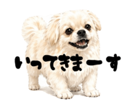 839253363