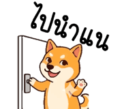 839254126