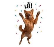 839254398