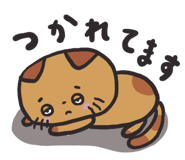 839254841