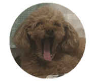 839258638