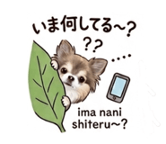 839260326