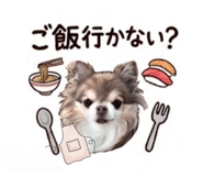 839260336