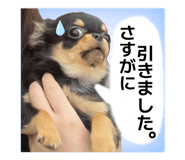 839261256