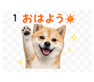 839262529