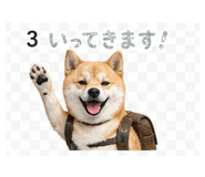 839262531