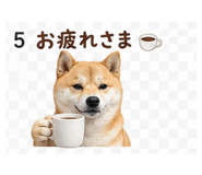 839262533
