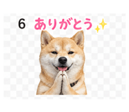 839262534