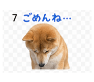 839262535