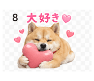 839262536