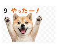 839262537
