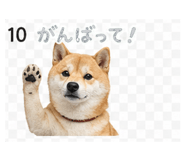 839262538