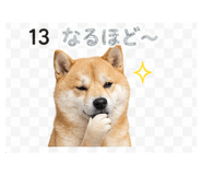 839262541