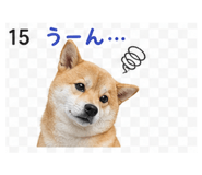 839262543