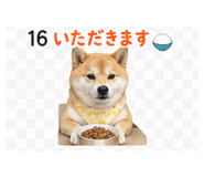839262544