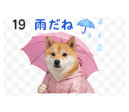 839262547